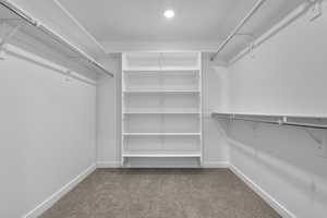 Spacious closet featuring light colored carpet