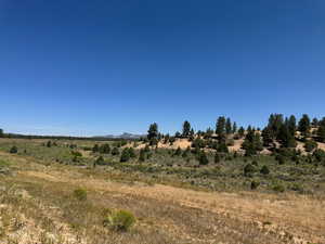 View of undeveloped land featuring rural landscape