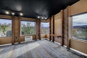 Unfurnished sunroom featuring rail lighting