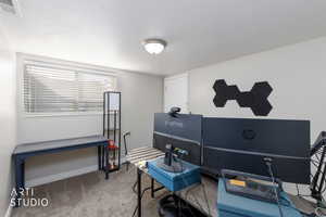 Office featuring light colored carpet and a textured ceiling