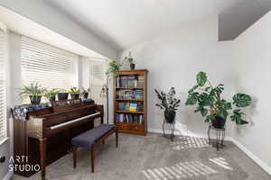 Sitting room featuring carpet flooring and lofted ceiling