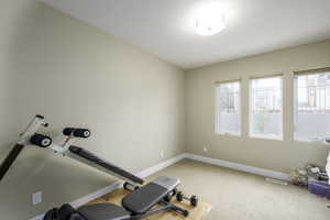 Workout room with baseboards and carpet floors
