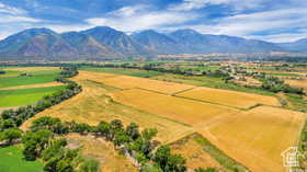 Aerial view of sparsely populated area featuring a mountain backdrop