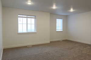 Spare room featuring carpet flooring and plenty of natural light