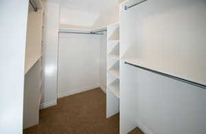 Spacious closet featuring dark carpet