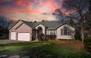 Single story home with driveway, an attached garage, and a front yard