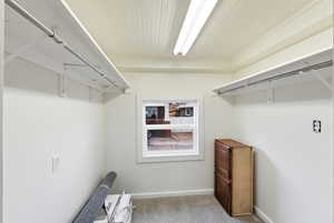 Spacious closet featuring light carpet