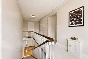 Stairs with ornamental molding and carpet floors