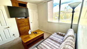 Carpeted living area featuring ornamental molding and a textured ceiling