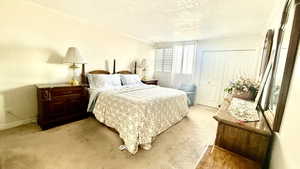 Bedroom with a textured ceiling, crown molding, light colored carpet, and a closet