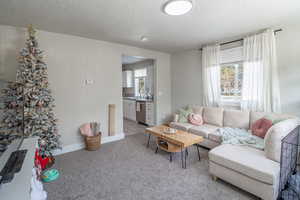 Living room with light carpet, healthy amount of natural light, and a textured ceiling