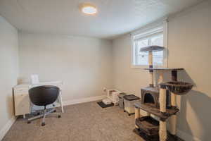 Home office featuring a textured ceiling and light colored carpet