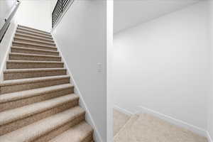 Stairs featuring carpet and baseboards