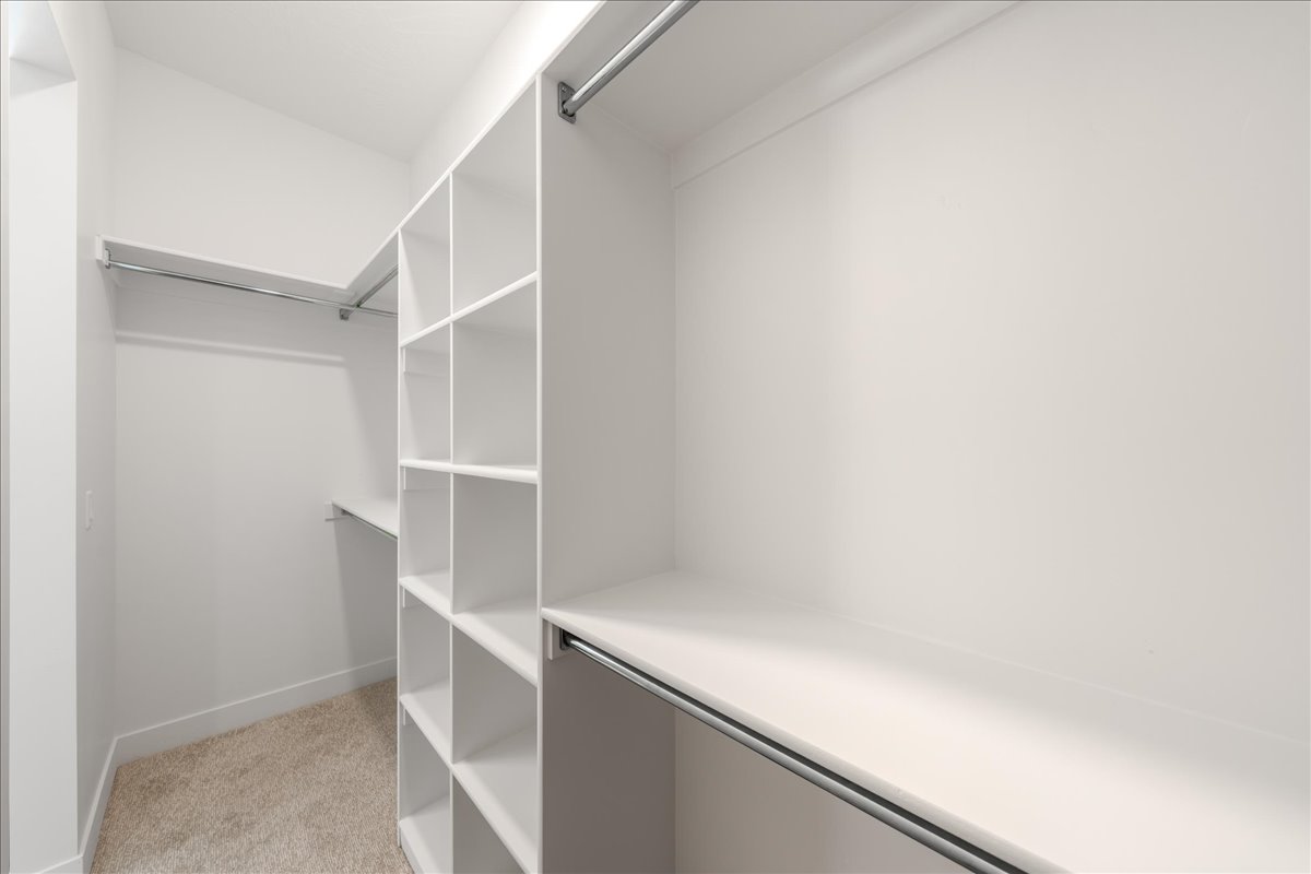 Spacious closet featuring light carpet
