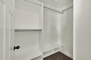 Spacious closet featuring dark carpet