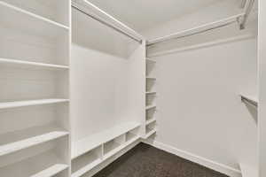Walk in closet with carpet flooring