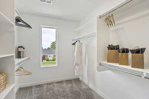 Spacious closet with carpet