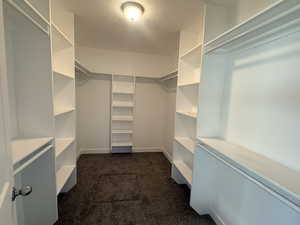 Walk in closet with dark colored carpet