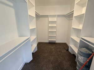 Walk in closet featuring dark colored carpet