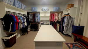 Walk in closet with light carpet