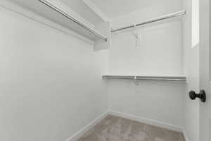 Spacious closet featuring light colored carpet
