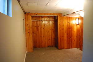 Finished basement featuring wood walls and carpet flooring