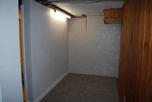 Finished below grade area with dark colored carpet