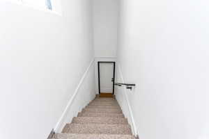 Stairway featuring carpet floors