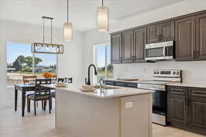 Kitchen with stainless steel appliances, dark brown cabinets, and light wood-style flooring