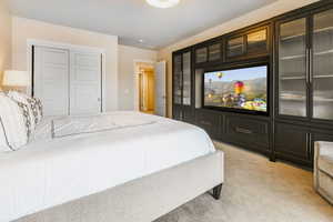 Bedroom with light carpet and a closet
