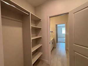 Spacious closet featuring light wood-style floors