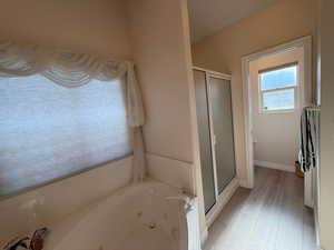 Tub, toilet room, shower stall