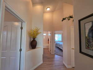 Hallway with art niche