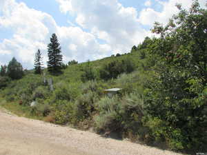 View of undeveloped land