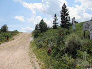 View of dirt / gravel road