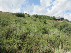 View of undeveloped land