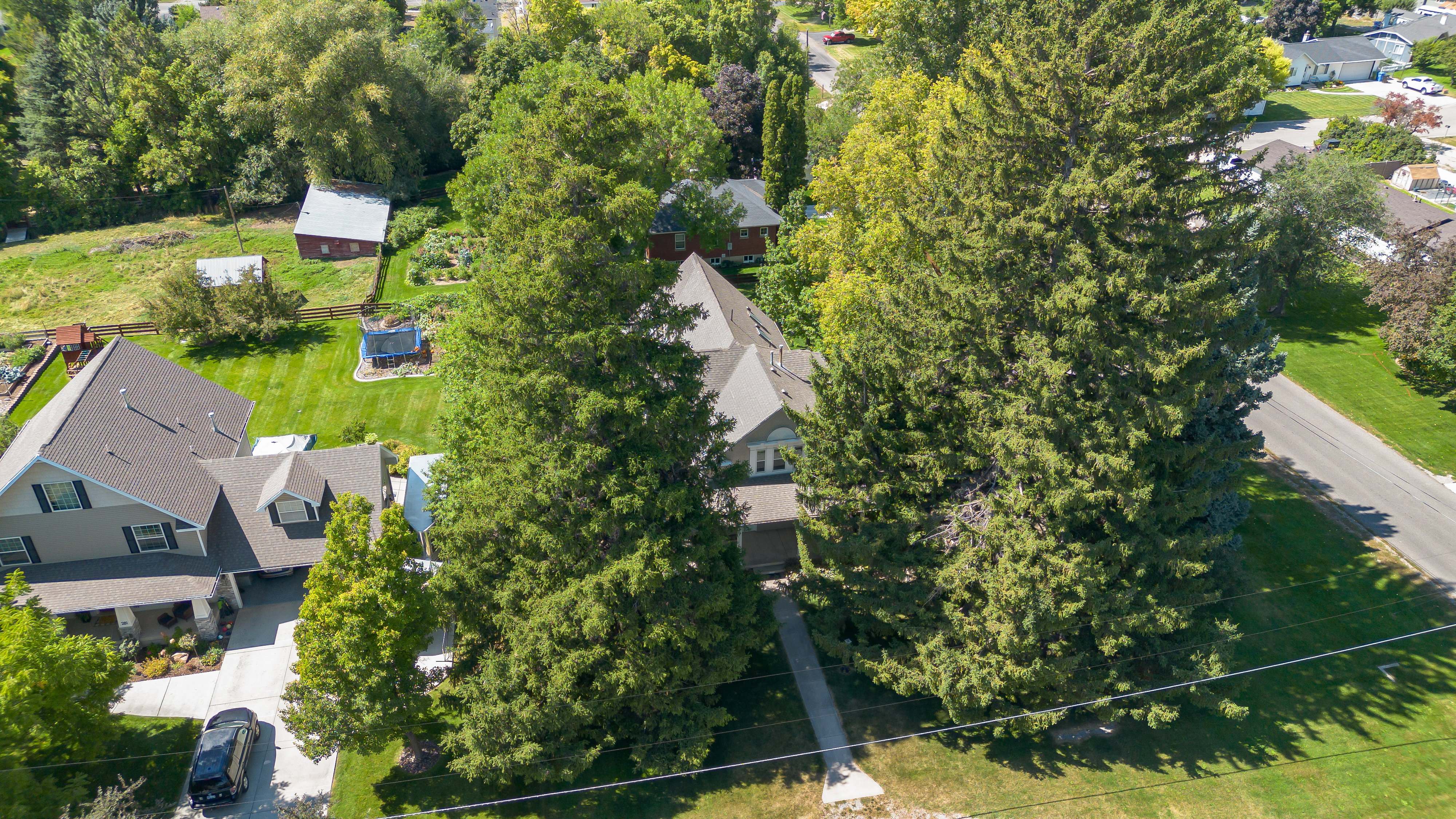 Aerial perspective of suburban area