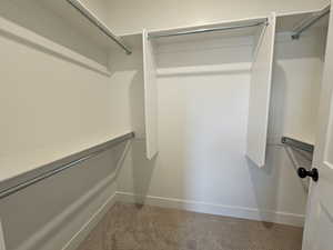 Walk in closet with carpet floors