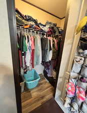 Spacious closet featuring dark wood-style flooring