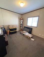 Carpeted home office featuring crown molding, a textured ceiling, and a decorative wall