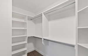 Walk in primary closet