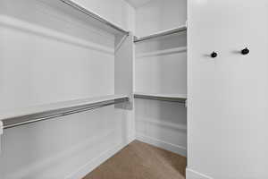 Walk in closet with light colored carpet