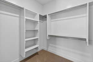 Spacious closet with light colored carpet