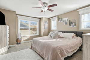 Carpeted bedroom with ceiling fan and multiple windows