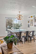Dining space featuring light wood-type flooring, suspended lighting, and a textured ceiling