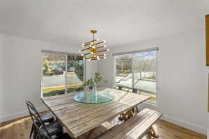 Dining space featuring suspended lighting, light wood finished floors, plenty of natural light, and a textured ceiling