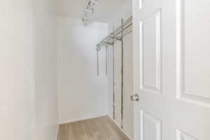 Walk in closet with light colored carpet
