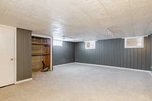 Below grade area with carpet and wooden walls