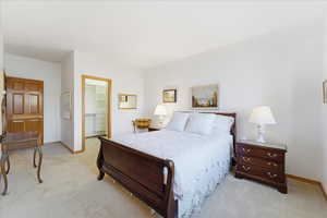 Bedroom featuring light carpet and a spacious closet