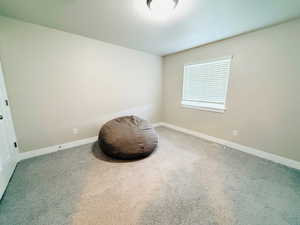 Sitting room featuring baseboards and carpet